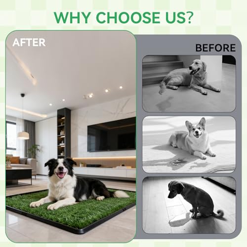 Dog Grass Pad with Tray,20"x25" Dog Litter Box, Artificial Turf Potty System with 2 Reusable Grass Patches + Washable Pee Pads, Portable Indoor Outdoor for Balcony Patio Apartment - size: Medium-2 Grass Pad with Changing pad