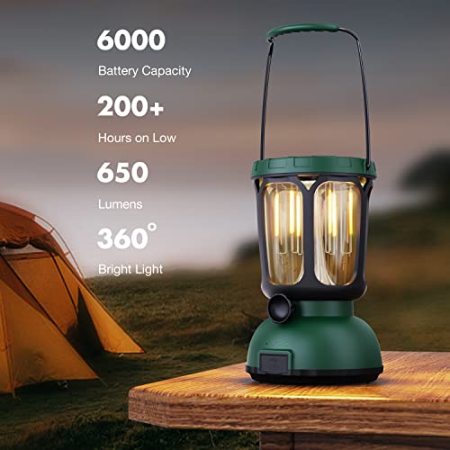Raynic 6000 LED Camping Lantern, 650LM Hand Crank Solar Battery Powered Rechargeable Lantern, Emergency Lights for Home Power Failure, Hurricane, USB Cable Included