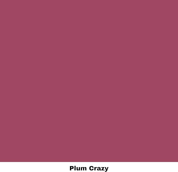 Dixie Belle Paint Company Chalk Finish Furniture Paint - Plum Crazy (4oz) - Matte Deep Pink Chic Chalk Mineral DIY Furniture Paint