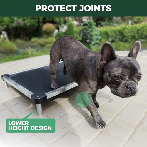 FXW TitanNest Chew-Proof Elevated Dog Bed, Raised Cot for Indoor/Outdoor/Camping Use, Durable & Waterproof Cooling Pet Bed for Toy Dogs, 24.0" L x 20.0" W x 4.1" H, Black - size: Xxs-toy Dog (24.0"l X 20.0"w X 4.1"h)