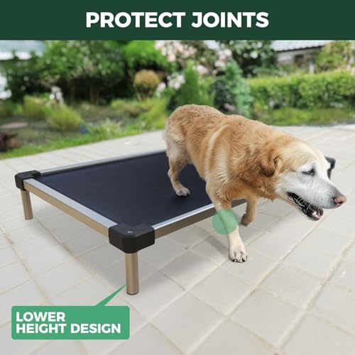 FXW TitanNest Chew-Proof Elevated Dog Bed, Raised Cot for Indoor/Outdoor/Camping Use, Durable & Waterproof Cooling Pet Bed for Medium Dogs, 41.0" L x 27.0" W x 5.0" H, Black - size: Medium Dog (41.0"l X 27.0"w X 5.0"h)