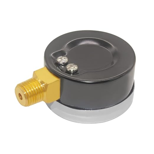 Joywayus Pressure Gauge 0 to 60 PSI Brass 1/4" Male NPT Thread Lower Mount, Multiple Function