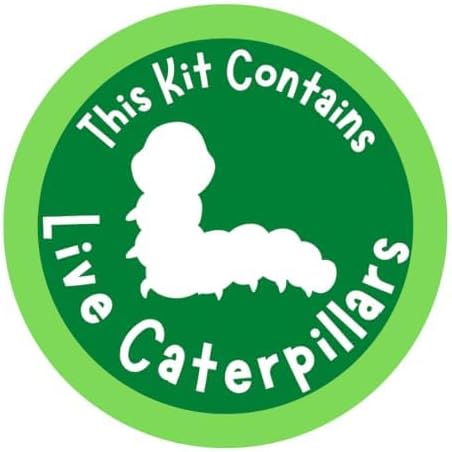 Insect Lore School Kit Refill with 33 Live Caterpillars - STEM Activity Journal & 33 Live Baby Painted Lady Butterfly Caterpillars - Cups & Tools Included