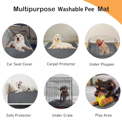 LOOBANI Non-Slip Washable Pee Pad for Dogs, 1 Pack Extra Large Reusable Dog Mat for Floor, Fast Absorbent Pet Whelping Pads, Puppy Playpen Mat for Incontinence, Housebreaking, Crate, 82x82in, Gray - size: 82"*82"(Pack of 1) Gray