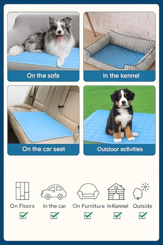 Blue Cooling Mat & Sleeping Pad | Water Absorption | Safe Materials | Easy Carry & Clean | Ideal Cooling Pad for Dogs and Cats | Perfect for Camping, Crates, and Pet Beds | 23.6"L x 19.7"W x 0.8"Th - size: Medium