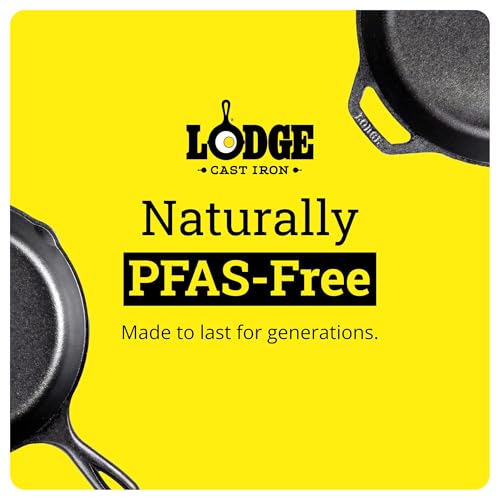 Lodge Seasoned Cast Iron Skillet 10.25 Inches - PFAS-Free, Non-Toxic Cookware - Use with an Oven, Stove, Grill, or Campfire - Naturally Non-Stick & Oven Safe - size: 10.25 Inch (1 Count)