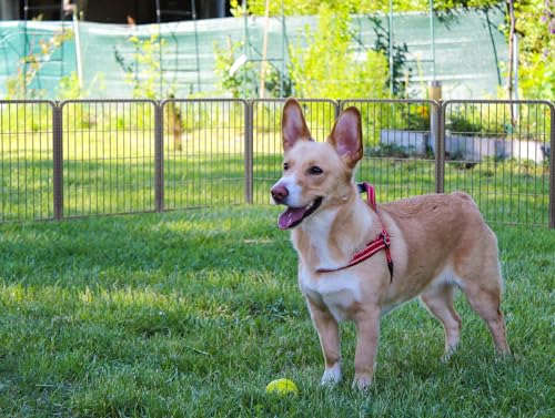 FXW Aster Dog Playpen Designed for Yard, 24inch 24 Panels - size: 24"H & 24 Panels