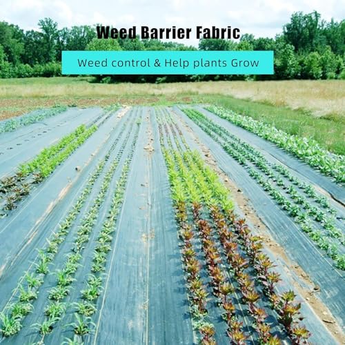 Broadfashion 6.5ft x 300ft Premium 3oz Pro Garden Weed Barrier Landscape Fabric, Durable & Heavy-Duty Weed Block Gardening Mat, Easy Setup & Superior Weed Control, Eco-Friendly & Convenient Design - size: 6.5ft x 300ft & 3 oz