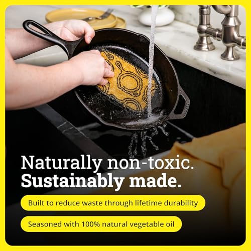 Lodge Seasoned Cast Iron Skillet 10.25 Inches - PFAS-Free, Non-Toxic Cookware - Use with an Oven, Stove, Grill, or Campfire - Naturally Non-Stick & Oven Safe - size: 10.25 Inch (1 Count)