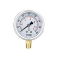 0-160 Psi Glycerin Liquid Filled Low Pressure Gauge, 2.5" Dial Size, 1/4" NPT Lower Mount, 304 Stainless Steel Case, for Water Pump, Pneumatic Air, RV Hose, Gas Pressure Test