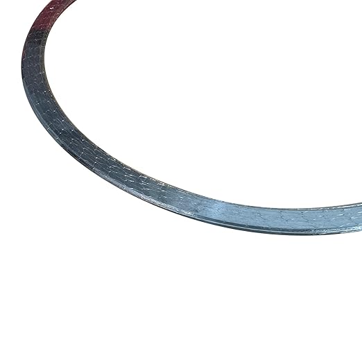 10 of Set DPF Diesel Particulate Filter Gasket Seal Compatible with Navistar International Truck Replace# 2594129C1 3712647C91 2604430C91