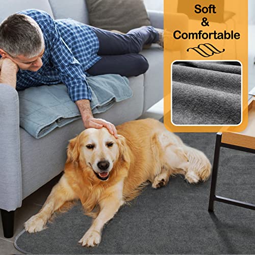 LOOBANI Washable Pee Pad for Dogs, 2 Packs Non-Slip Puppy Training Pads, Fast Absorbent Pet Whelping Pads, Puppy Playpen Mat for Incontinence, Housebreak, Crate , 36x72in, Gray - size: 36"*72"(Pack of 2) Gray