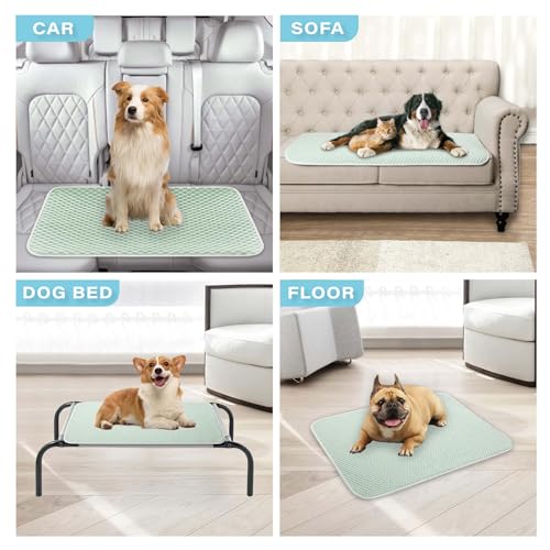 MICROCOSMOS Pet Cooling Mat & Sleeping Pad- Breathable Bubble Surface, EZ Clean. Keep Cooling for Pets, Kids and Adults in Summer.(Green, 36" x 24") - color: Green, size: 36" x 24"