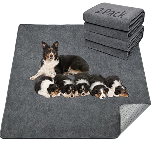 LOOBANI Washable Pee Pad for Dogs, 2 Packs Non-Slip Puppy Training Pads, Fast Absorbent Pet Whelping Pads, Puppy Playpen Mat for Incontinence, Housebreak, Crate , 36x72in, Gray - size: 36"*72"(Pack of 2) Gray