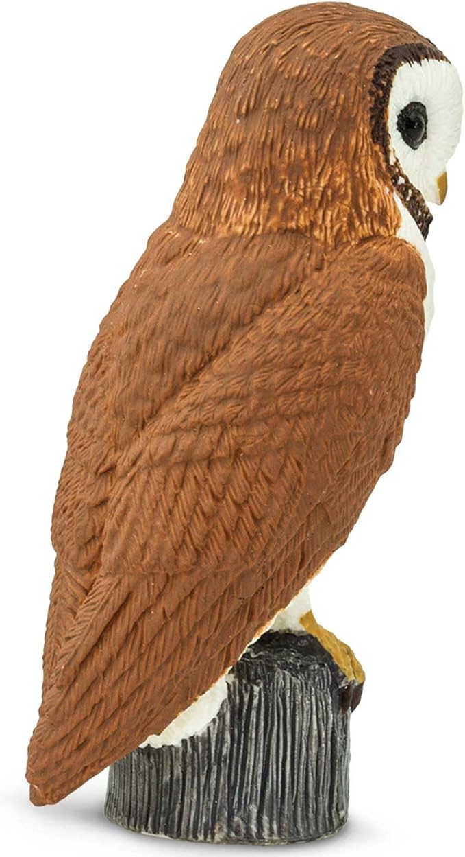 Safari Ltd. Barn Owl Figurine - Detailed 2.75" Plastic Model Figure - Fun Educational Play Toy for Boys, Girls & Kids Ages 3+