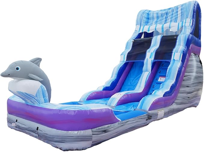 Herokiddo Dolphin 16' Water Slide with Detachable Pool, for Kids and Adults, Commercial Grade, 100% PVC Vinyl, Outdoor Backyard, Summer Fun, Blow Up Inflatable (Blower Included)