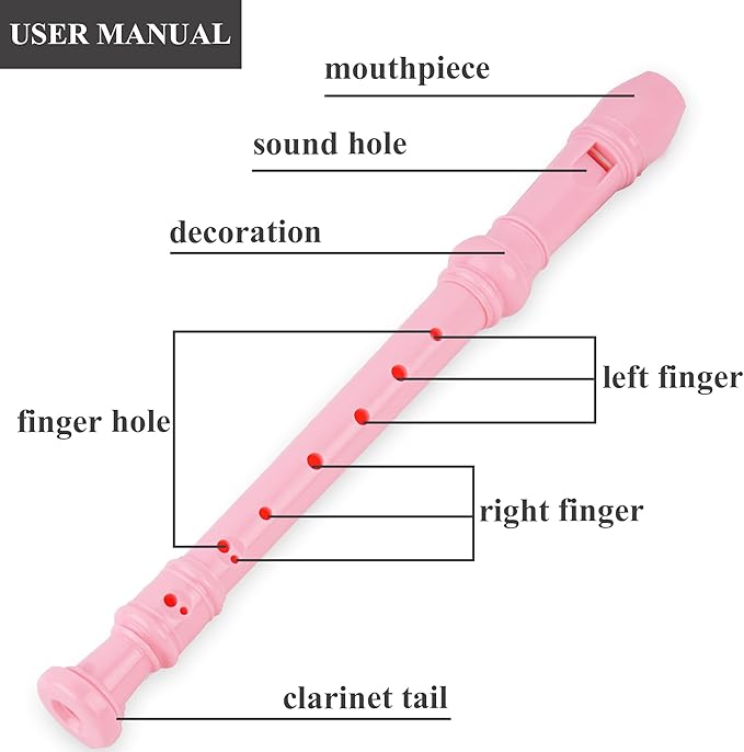 Recorder Instrument for Beginner Kids Adults,8-Hole Soprano Descant Recorder Music Flute with with Cleaning Rod & Leather Case For School Student Home Entertainment(2-Carved Pink)