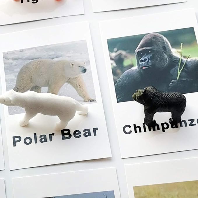 MEROCO Montessori Animal Match - Miniature Forest Animal Toy Figurines with Matching Cards Montessori Language Materials Preschool Learning Toy NEWTT0010YS3