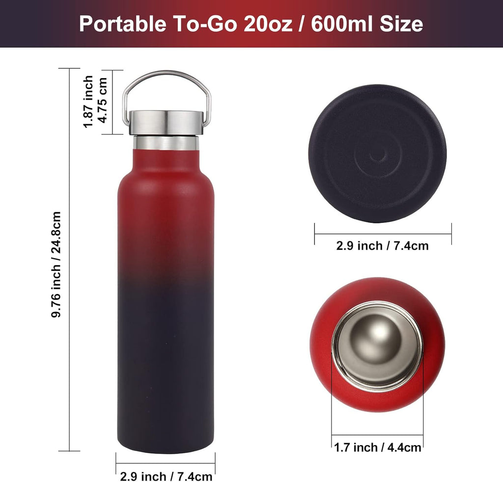 Neihepal 20 oz Insulated Water Bottles Bulk 2 Pack,Stainless Steel Double Wall Sport Bottle with Lid of Handle,Metal Reusable Thermoses Flask for School,Cyclists,Hikers,Gift (Assorted,Set of 2)