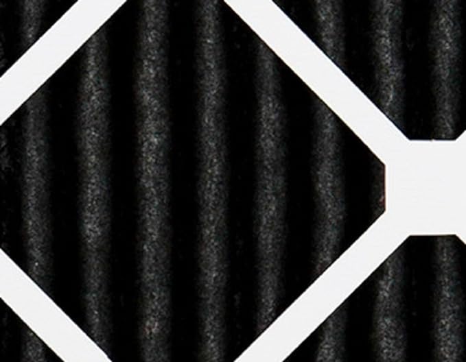Nordic Pure 20x30x1 (Actual Size: 19 5/8 x 29 5/8 x 3/4) Pure Carbon Pleated Odor Reduction Furnace Air Filters 6 Pack