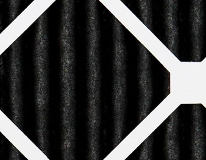 Nordic Pure 20x30x1 (Actual Size: 19 5/8 x 29 5/8 x 3/4) Pure Carbon Pleated Odor Reduction Furnace Air Filters 2 Pack