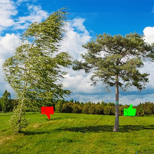 Tree Straightening Kit 6 Pack - Supports and Stake for Leaning Trees, 13.12 Feet Straps for Young Growth - color: 6 Pack