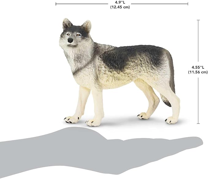 Safari Ltd. Gray Wolf Toy Figurine - Detailed 4.8" Plastic Model Figure - Fun Educational Play Toy for Boys, Girls & Kids Ages 3+