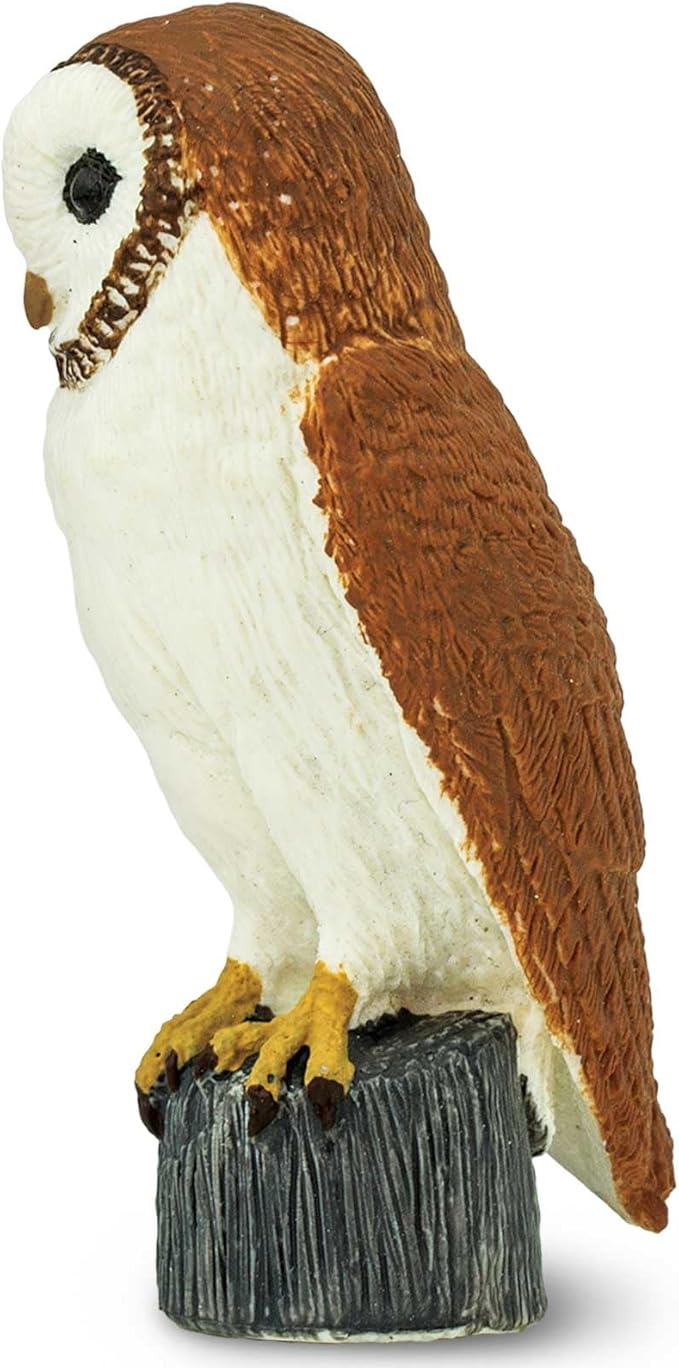 Safari Ltd. Barn Owl Figurine - Detailed 2.75" Plastic Model Figure - Fun Educational Play Toy for Boys, Girls & Kids Ages 3+