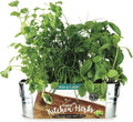 BUZZY Seeds Organic Windowsill Grow Kit, Copper Culinary Herb Garden with Basil, Cilantro and Chives, Indoor Starter Set with Seed Packets and Growing Medium, Holiday Present, Gardening Gift