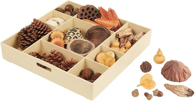 Kaplan Early Learning Nature's Geometry Loose Parts STEM Kit