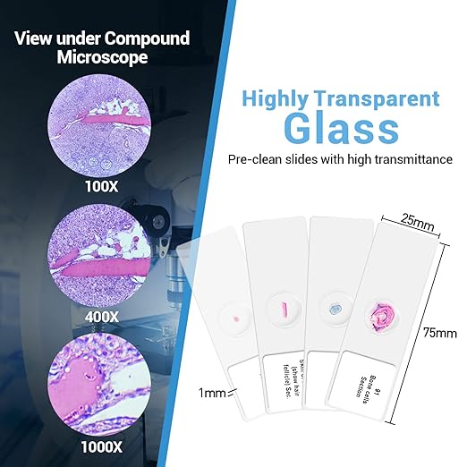 100Pcs Prepared Microscope Slides Set Professional Specimens for Kids Student Homeschool Use