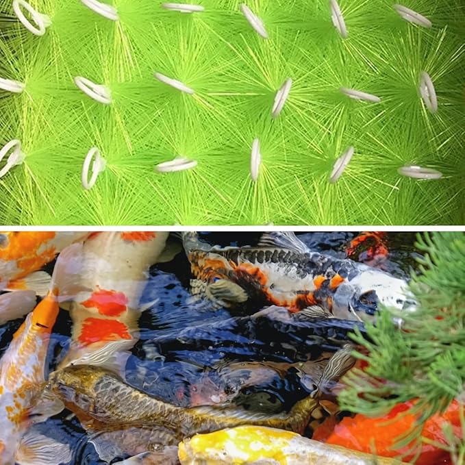 30 Packs Filter Brushes Aquarium Brushes Set for Koi Pond Water Garden Outdoor Pond Skimmers Brush Filter Cleaning Brush 24 Inch by 4.7 Inch (Green)