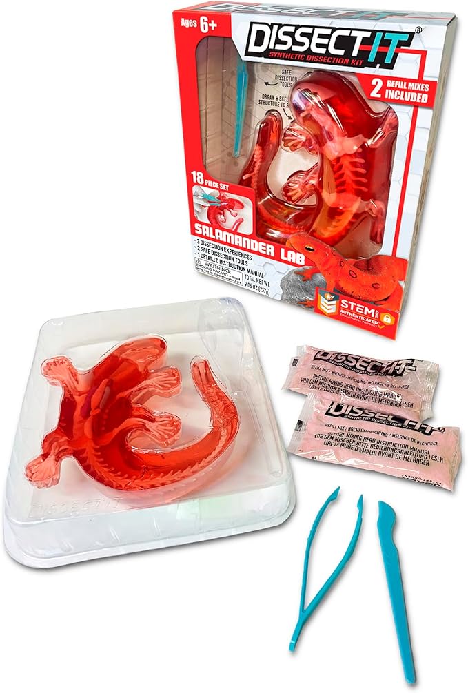 Dissect-It Kit for Kids, Simulated Synthetic Lab Dissection Toy, Salamander STEM Toys for Animal Science, Biology, and Anatomy