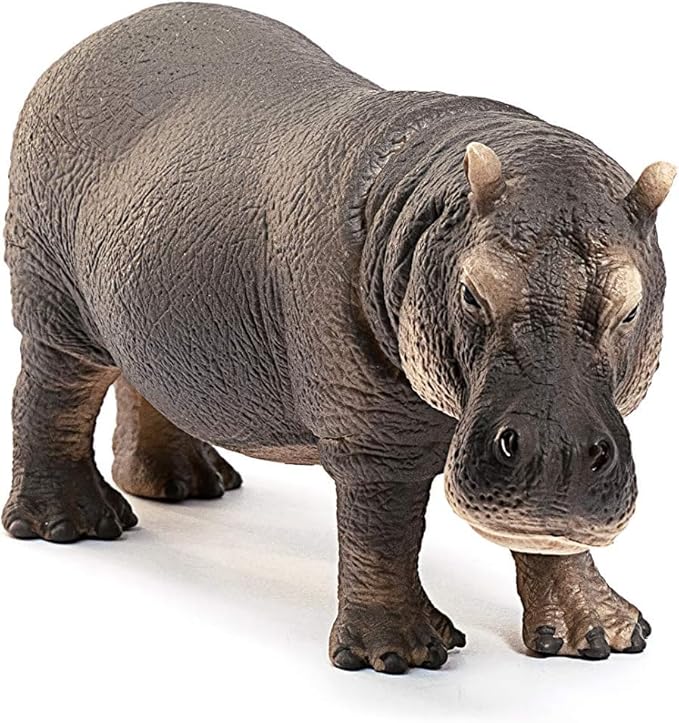 Schleich Wild Life Realistic Detailed Hippopotamus Figurine - Wild Hippo Figurine Toy for Play and Education, Highly Durable and Detailed, for Boys and Girls, Gift for Kids Ages 3+