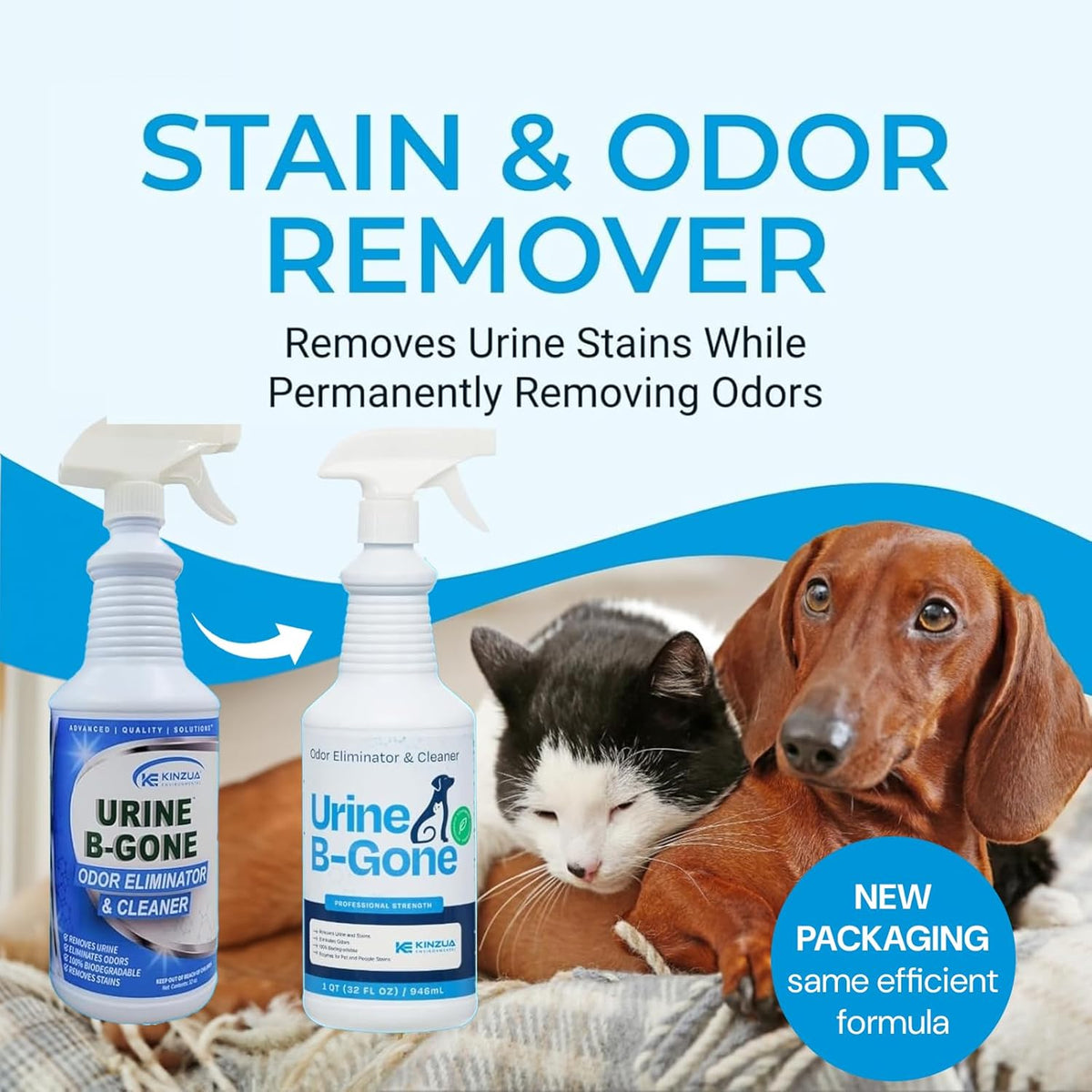 KINZUA ENVIRONMENTAL Urine B-Gone, Professional Enzyme Odor Eliminator & Pet Stain Remover, Human, Cat & Dog Urine Cleaner, Effective on Laundry, Carpets & More, Original Scent, 32oz