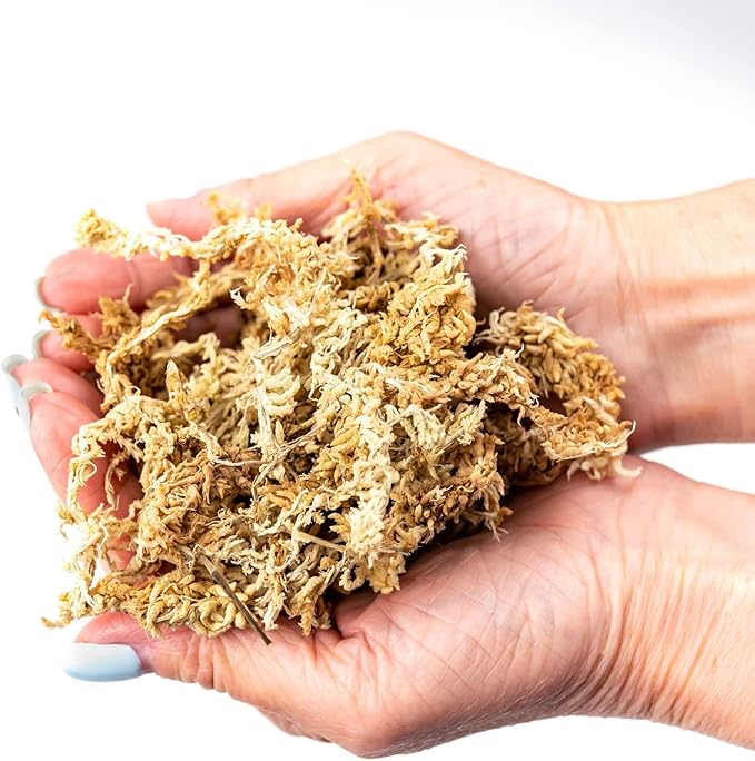 Gardenera Premium New Zealand Sphagnum Moss - Organic Hand Mixed Long Fibered Sphagnum Moss Orchid - 3 Quart