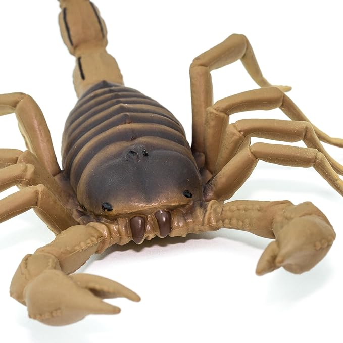 Safari Ltd. Scorpion Figurine - Realistic 7.5" Arachnid Figure - Educational Toy for Boys, Girls, and Kids Ages 3+
