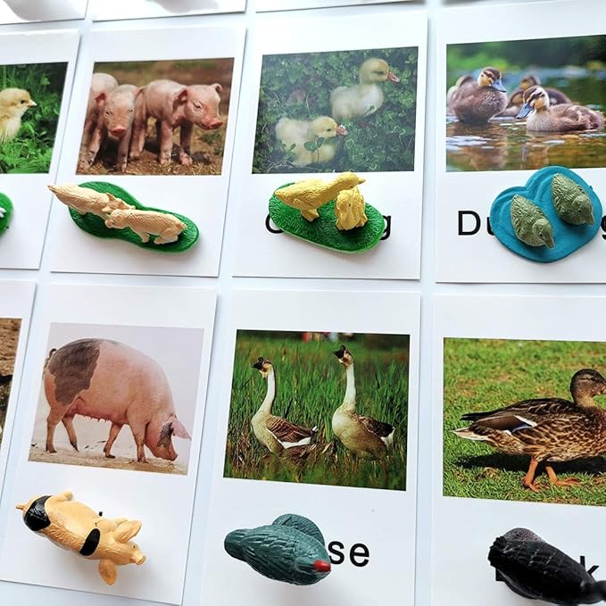 MEROCO Montessori Animal Match - Miniature Farm Animal Toy Figurines with Matching Cards Montessori Language Materials Preschool Learning Toy NEWT033