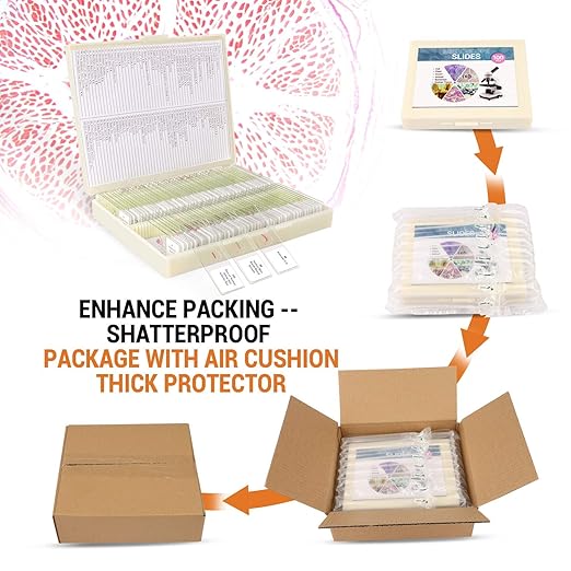 100Pcs Prepared Microscope Slides Set Professional Specimens for Kids Student Homeschool Use