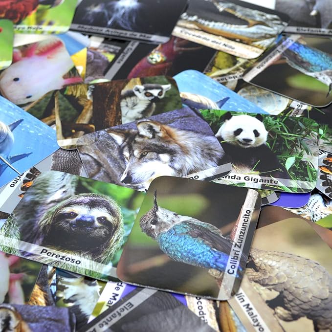 Menique Wild Animals Memory Matching Game – Spanish Edition – 80 Cards (40 Pairs) with Real Photos – Educational Game in Spanish for Kids and Adults – Includes Booklet