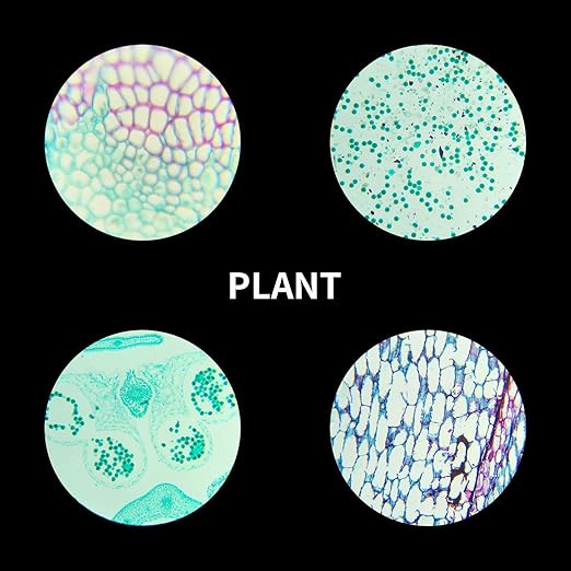 100Pcs Prepared Microscope Slides Set Professional Specimens for Kids Student Homeschool Use