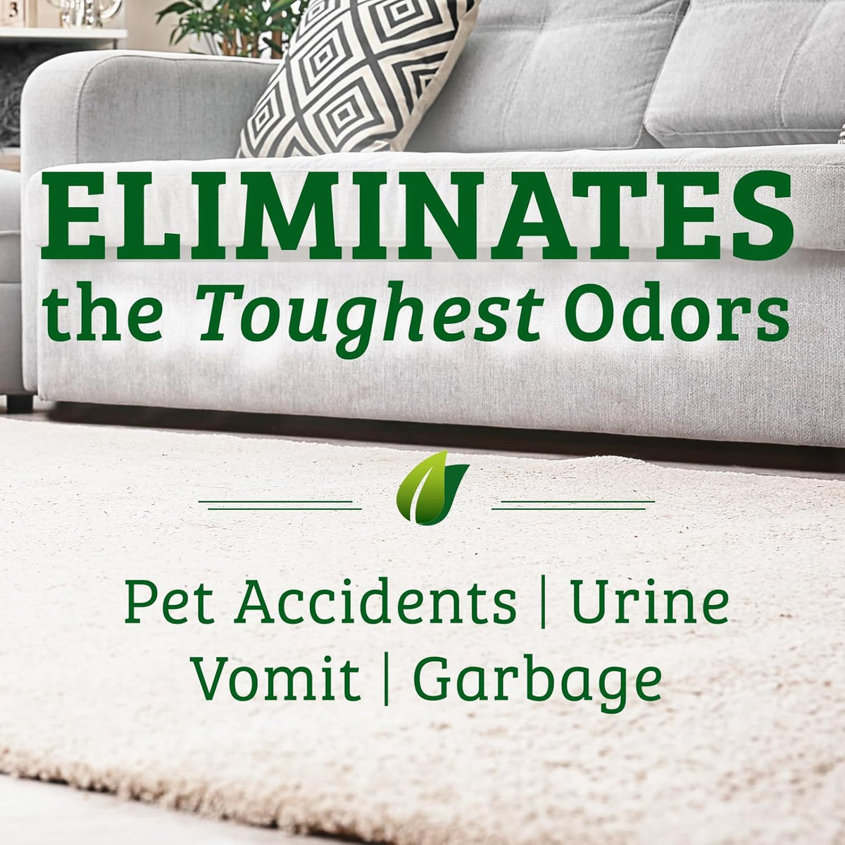 Biokleen Bac-Out Pet Stain Remover - Enzymatic, Natural, Plant-Based Destroys Stains & Odors, Safe for Surfaces & Fabrics, Carpet Cleaner - Eco-Friendly, Lavender Lime Scent, 1 Gallon