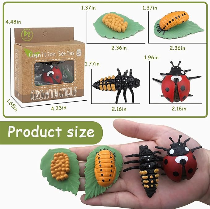 Mbrain Life Cycle Learning & Education Toys,Montessori Toys Figurines for Frog, Butterfly, Ladybug,Plants Kit,Gift for Girl & Boy for 3 4 5 Year Old
