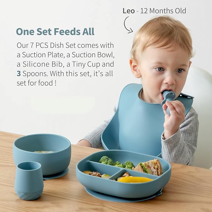 SAMiGO Silicone Baby Feeding Set, Baby Led Weaning Supplies, Suction Bowl Plate Bib Cup Self Feeding Spoons, Solid Food Eating Essentials, First Stage Utensils, 6+ Months