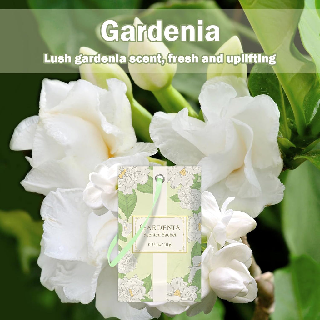 SCENTORINI Scented Sachets for Drawers and Closets, Gardenia Scent 14 Pack, Long-Lasting Sachets Bags Wardrobe Freshener, for Shoe Wardrobe, Cupboard