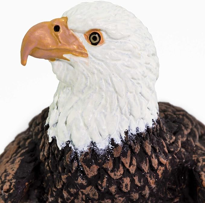 Safari Ltd. Bald Eagle Figurine - Realistic 2.4" Bird Figure - Educational Toy for Boys, Girls, and Kids Ages 3+