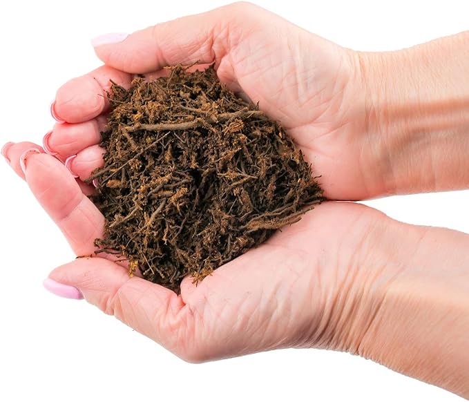 Premium New Zealand Tree Fern by GARDENERA - Orchid and Epiphytal Plants Growing Medium and Reptile Substrate - 3 Quart Bag