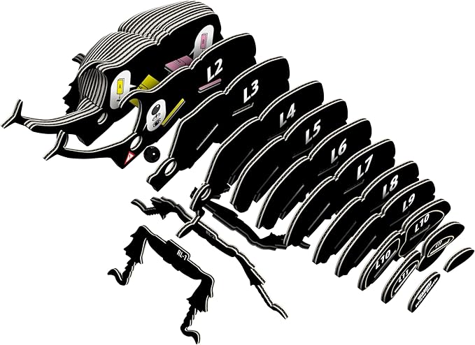 Eugy Rhino Beetle 3D Puzzle - 34 Piece Eco-Friendly Educational Toy Puzzle for Boys, Girls & Kids Ages 6+