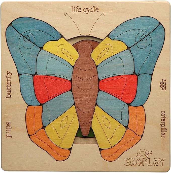 Life Cycle of A Butterfly | 31 Piece Wooden Multilayered Jigsaw Puzzles for Kids | Educational Toy and Gift for Boys & Girls 3 Years and Above