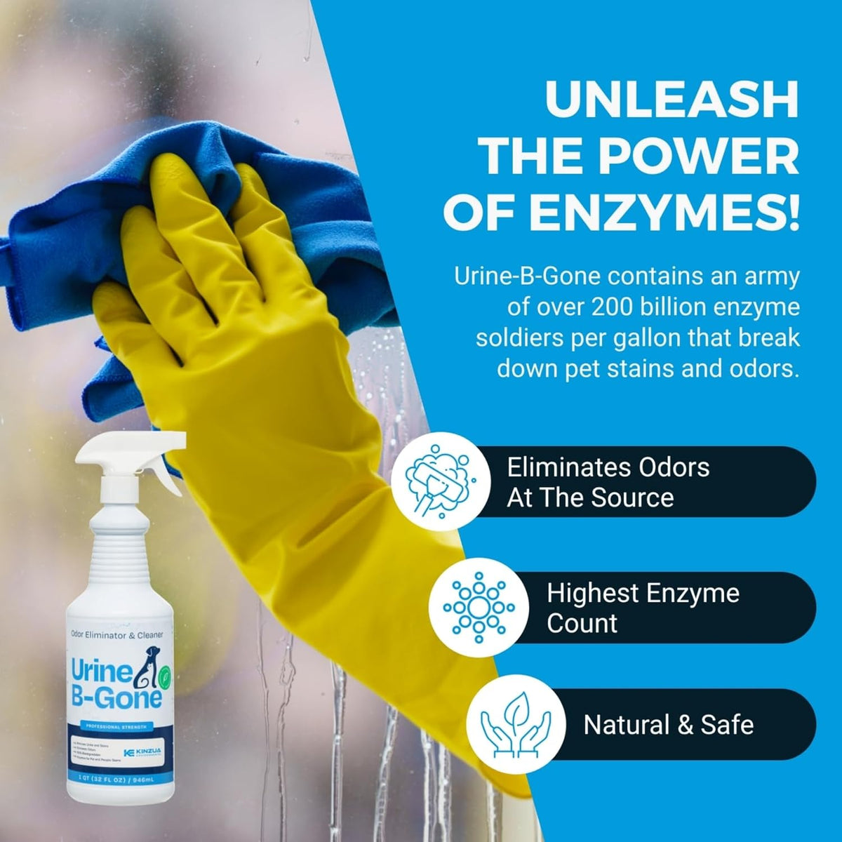 KINZUA ENVIRONMENTAL Urine B-Gone, Professional Enzyme Odor Eliminator & Pet Stain Remover, Human, Cat & Dog Urine Cleaner, Effective on Laundry, Carpets & More, Original Scent, 32oz